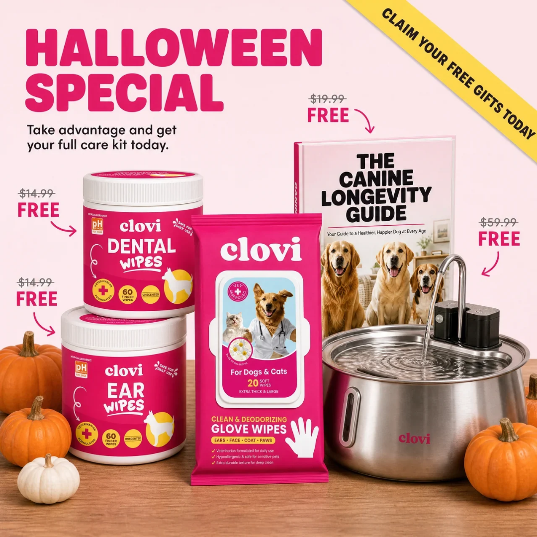Deodorising Glove Wipes – clovi